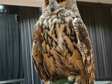 Noc sów 2026 Zapolice, 